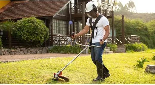 Empresa de jardinagem e paisagismo em Belo Horizonte